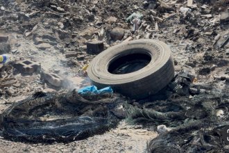 WhatsApp Image 2025-03-26 at 15.54.07 (2).jpeg